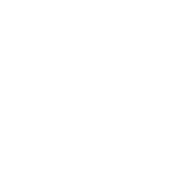 Home Repairs & Special Fixing